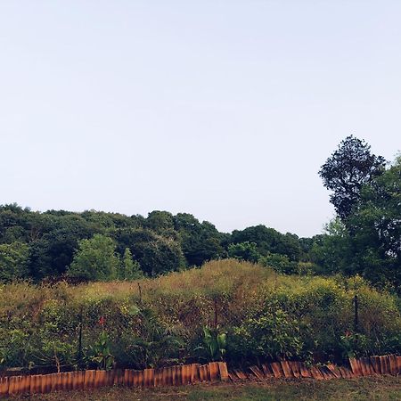 Laforesta By Mahabaleshwar Stay Luaran gambar